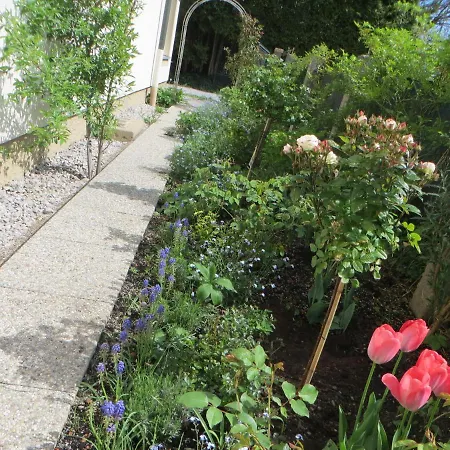 Appartement Premium Amadeus Salzbourg