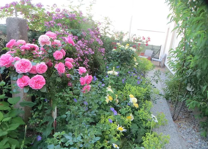 Premium Amadeus سالزبورغ