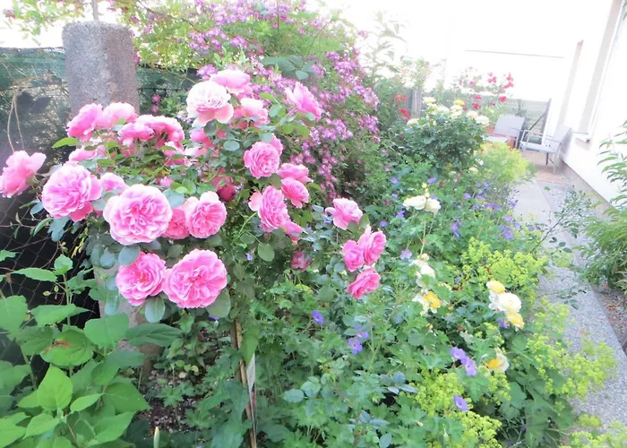 Premium Amadeus شقة