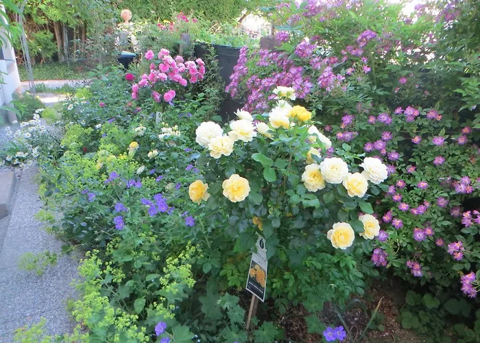 شقة Premium Amadeus *